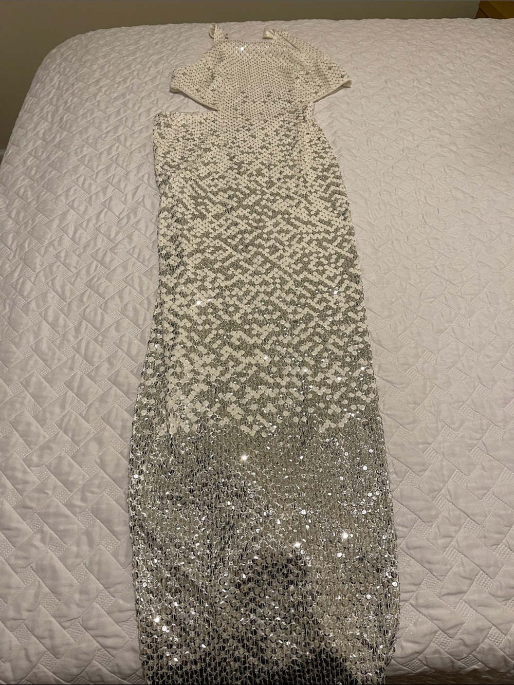 Cache Sequin Ombre Maxi Dress in White and Silver